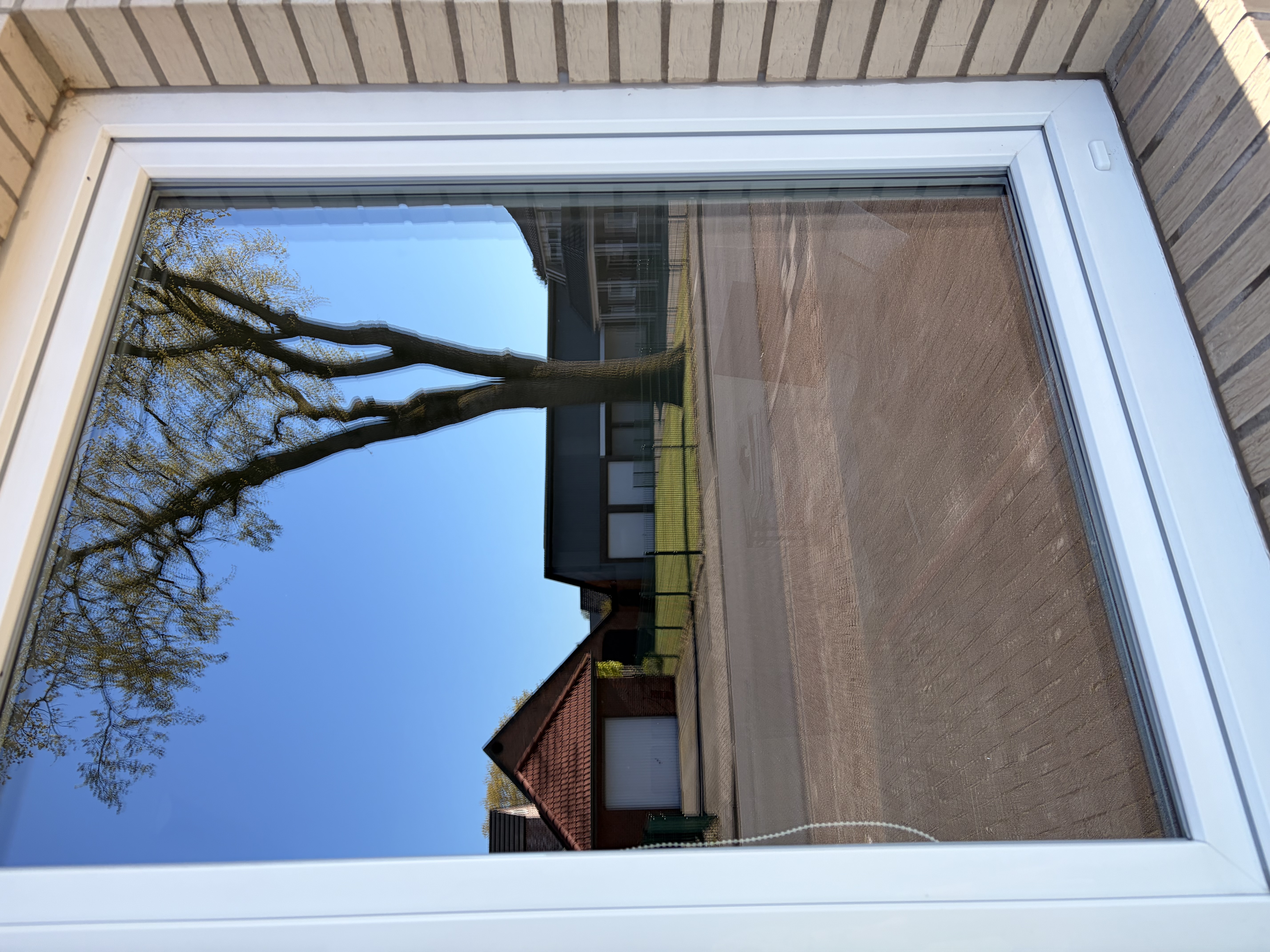 Professionell gereinigtes Fenster von außen – Nord Vista Cleaning Friesoythe
